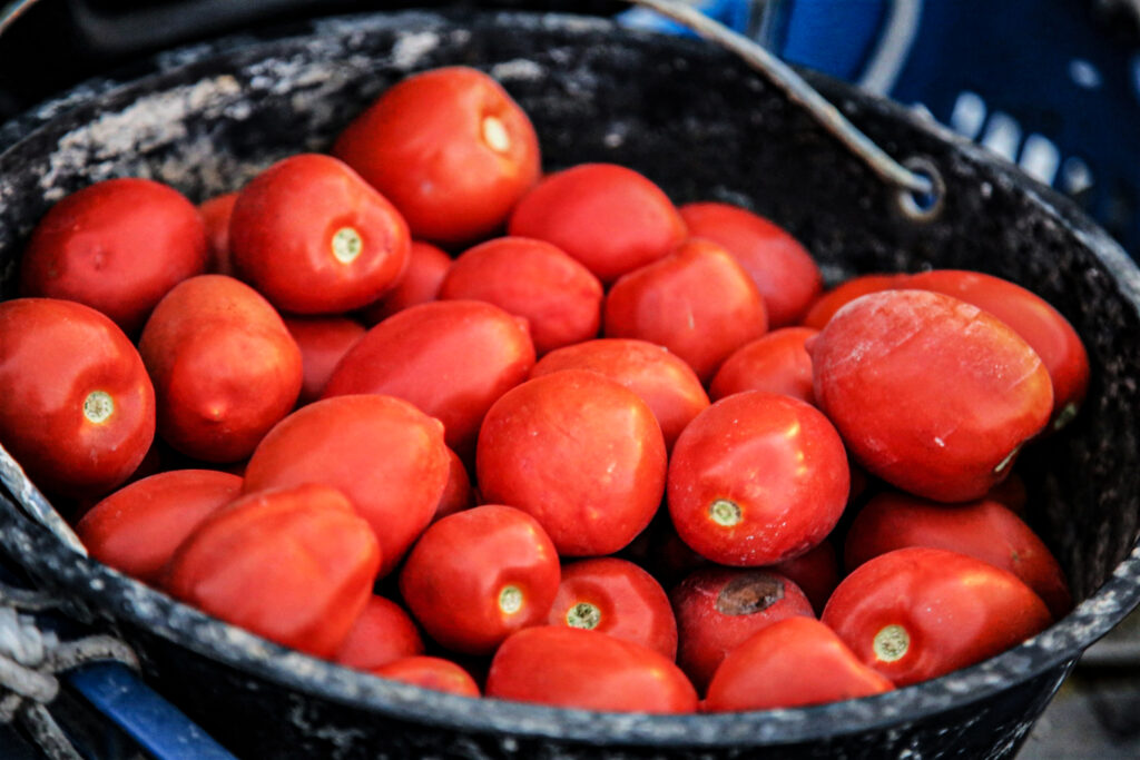 Petrinos Traditional Aegean Cuisine Milos_Food