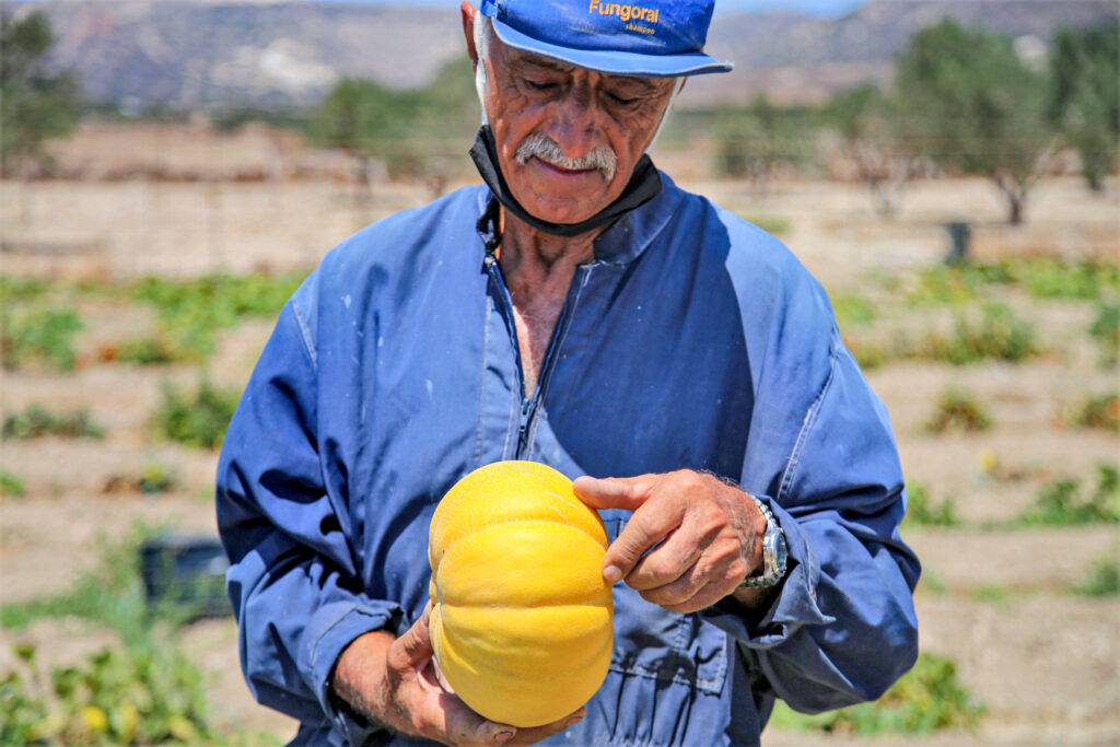 Petrinos Traditional Aegean Cuisine Milos