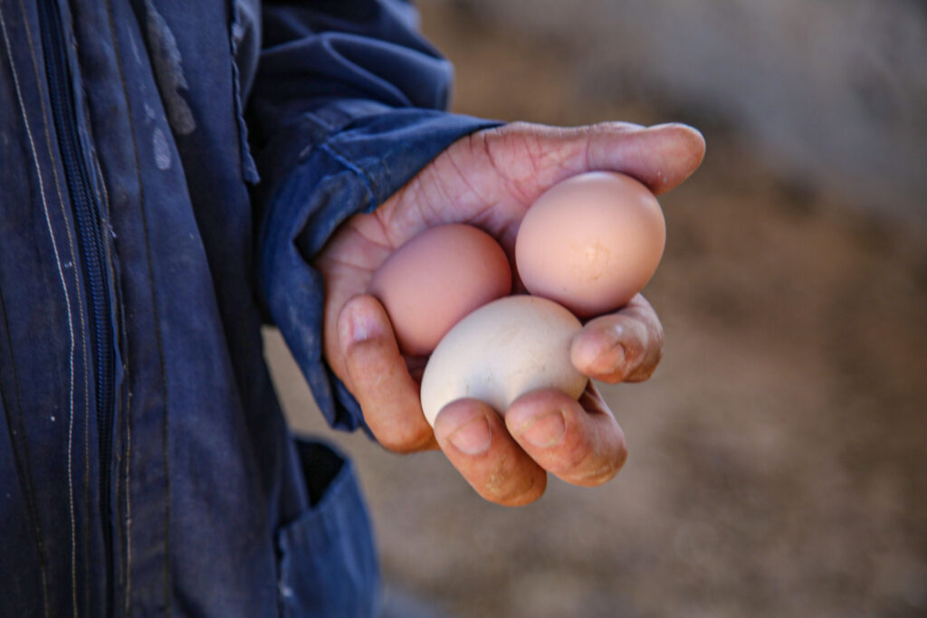 Petrinos Traditional Aegean Cuisine Milos